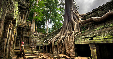 Ta prohm temple - Angkor Miracle Resort & Spa - Siem Reap Cambodia